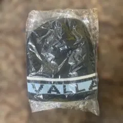summer sale!!! VALLAD 青　水色　ビーニー