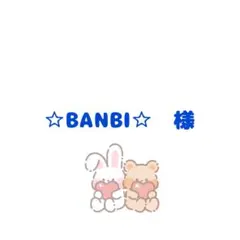 【専用】 BANBI 様