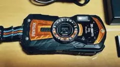 Item thumbnail for item a174b101-0d76-418d-bcc7-fdc73d7a9734