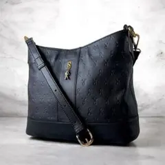 A*i様 【美品】ロベルタディカメリーノ ミヌエット ブラック ショルダーバッグ 2026年最新】ロベルタ ミヌエットの人気アイテム - メルカリ