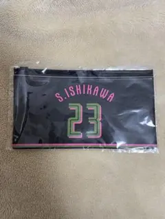 Item thumbnail for item 4a760f9d-798c-47f7-8f54-6f1155fd3688