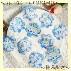 フレークシール　海外シール　シール　ステッカー　コラージュ素材　10枚入
