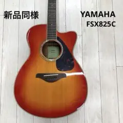美品 Guyatone グヤトーン SG-25T セミアコ 赤 ビザールギター - メルカリ