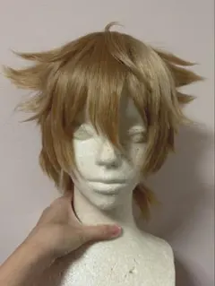 にじさんじ 伏見ガク コスプレウィッグオーダー コスプレウィッグ バーチャルYouTuber VTuber 伏見ガク 5万人