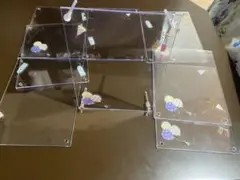 L版写真立て DAISO 8個