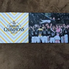 福岡ソフトバンクホークス 2025年 日本一記念　小久保監督胴上げタオル