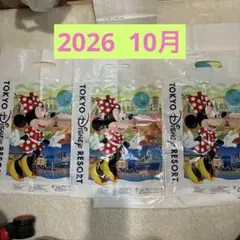 東京ディズニーリゾート ショップ袋 4枚セット