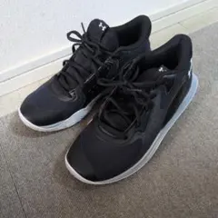 Item thumbnail for item 4e8a87d5-b9df-4778-8aed-8d3d3e5a64ba