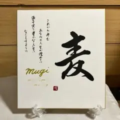 由来付きシンプル命名書（手書きオーダーお食い初めお宮参り100日祝いお七夜）