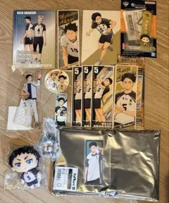 ハイキュー　赤葦京治　木兎光太郎　赤木　アクスタ　アクキー　ぬいぐるみ　フィギア