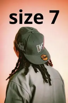 Item thumbnail for item 1ea931d7-a3de-4602-aebc-b7ec38c69cd6