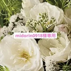 midorin0918様 リクエスト 5点 まとめ商品
