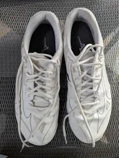 Item thumbnail for item 1fe7c963-564b-451b-9b44-75f7de03e810