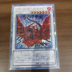 2026年最新】ブラックローズドラゴン 20thの人気アイテム - メルカリ