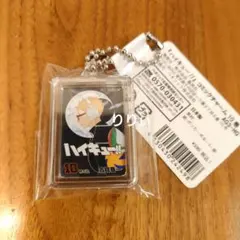 ジャンプショップ ハイキュー！！ コミックチャーム 10巻 月島蛍