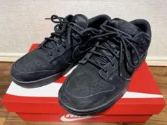 Nike Dunk Low RETRO SE 