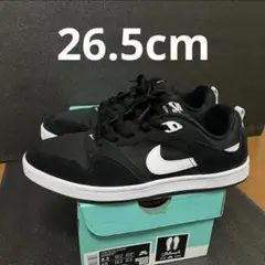 ナイキ　シューズ　アリウープ