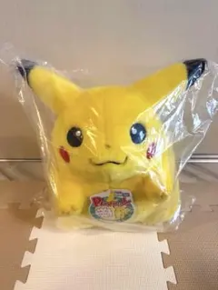 ポケモン30周年記念 おかえり！ピカチュウ1／1(1個)