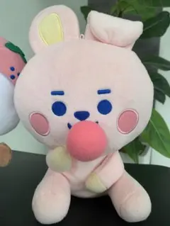 ❶BTSぬいぐるみ COOKY