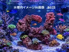 人工ライブロック BG18 25×25×25 アク抜き済み安心塗料使用 - メルカリ
