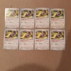 ホシガリス　8枚セット