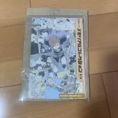 未使用】ハイキュー　メモリアルコレクション　第１弾 翔陽＆研磨