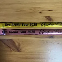Eve Arena Tour 2025 응원 상품