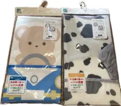 Item thumbnail for item 987b3e35-577a-4495-875b-21dfd4d4917d