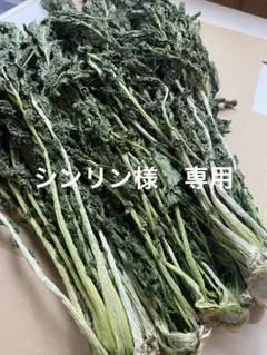 シンリン様　専用