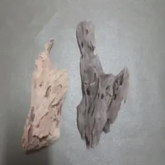 流木・木材 2点セット