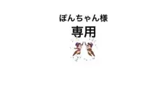 ぽんちゃん様 リクエスト 2点 まとめ商品