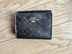 Item thumbnail for item f884b077-15ed-4ec4-a637-a2df6596497d