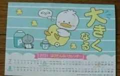 サンリオ はぴだんぶい あひるのペック ル カレンダー シール