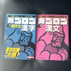 新ゴロゴ 現代文・漢文 2冊セット