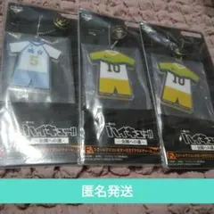 一番くじハイキュー　F賞　スクールアイコンボタン付きアクリルチャーム　3点セット