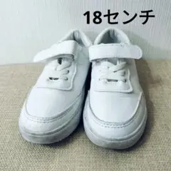 ホワイト スポーツ スニーカー ベルクロ付き