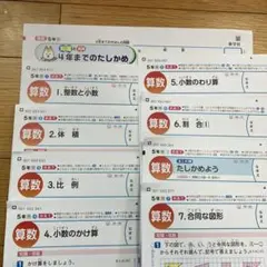 小学5年 算数 カラーテスト 令和7年度 21枚分 啓林館 新学社　最新 小学6年 算数 カラーテスト 新学社 啓林館 未記入 1学期のみ 令和7年度
