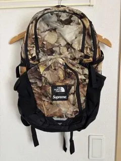 Item thumbnail for item 4e26671f-319f-4d7a-969f-c91c7b061c4f