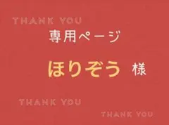 ほりぞう様専用ページです。