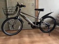 配送不可！手渡しです！子供用自転車 シルバーのサムネイル