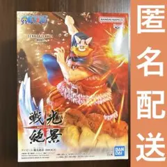 【新品】ワンピース 戦光絶景-BROGY- （ブロギー）