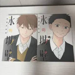 氷の城壁 3巻・4巻セット