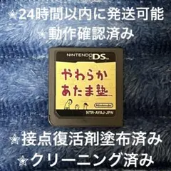 完動品 美品 ⋆✦ やわらかあたま塾 DS カセット