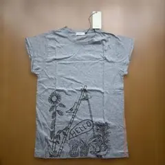 Item thumbnail for item 77bb7460-cd82-4b2b-8a74-b301f1d7ae93