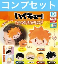 ハイキュー ぬいぐるみクリップ ガチャ コンプ _ 日向