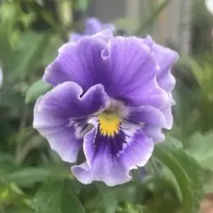 TK様 リクエスト 2点 まとめ商品