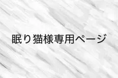 専用ページ