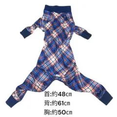 Item thumbnail for item fc6bdac3-ea7a-4c90-b281-ebcdf5f6ef4f