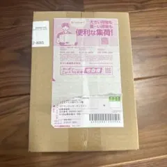 ポケモンカード　MEGAドリームex BOXシュリンク付き　ポケモンセンター産