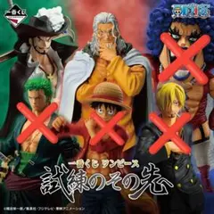 一番くじ ワンピース ～試練のその先へ～ D賞 ラストワン賞